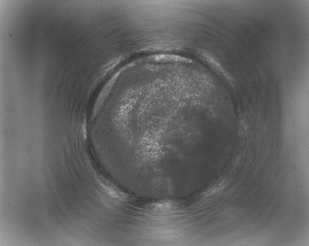 X0000061140068200512022259