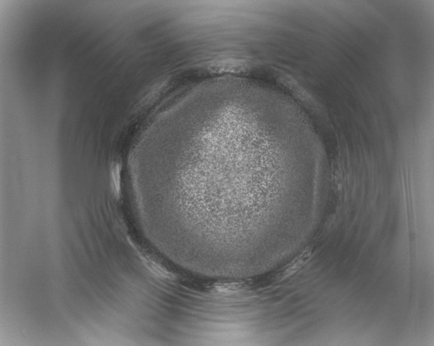 X0000061140070200512022259