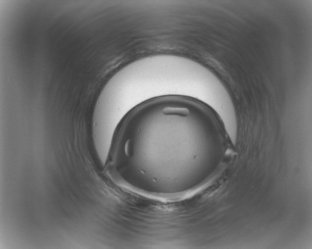 X0000061140071200512022259