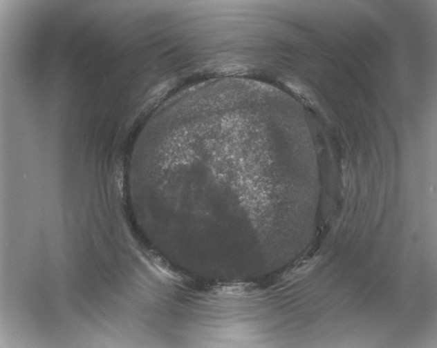 X0000061140072200512022259