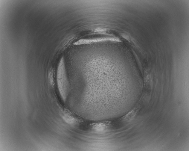 X0000061140074200512022259