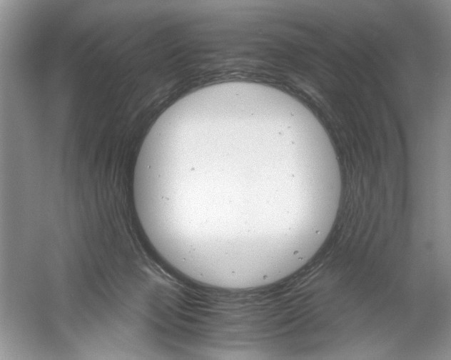 X0000061140077200512022259