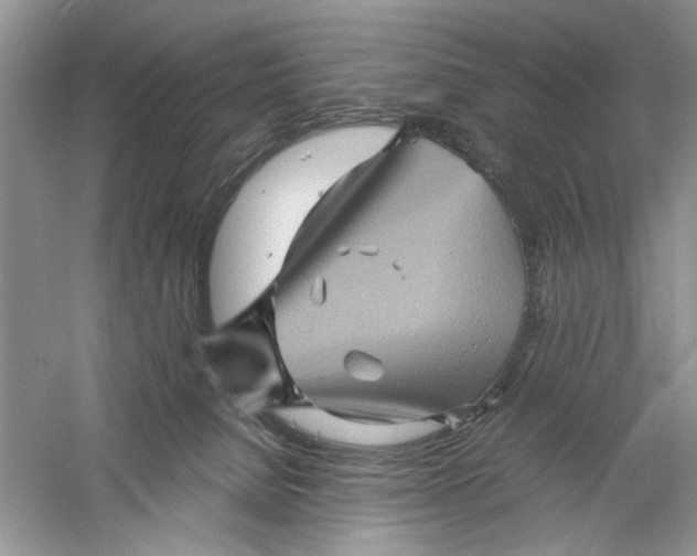 X0000061140080200512022259