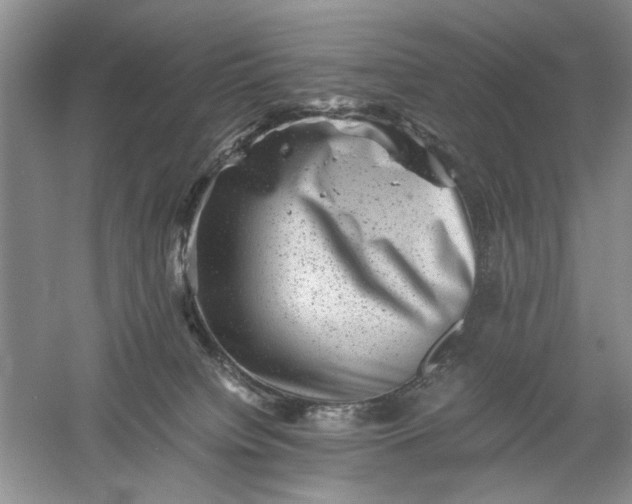 X0000061140084200512022259