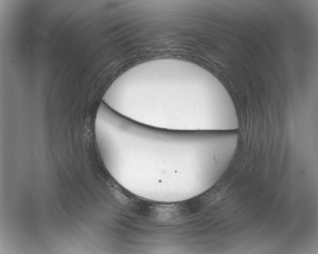 X0000061140085200512022259