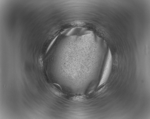 X0000061140086200512022259