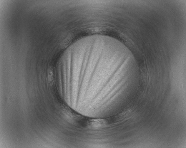 X0000061140087200512022259