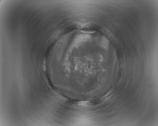 X0000061140090200512022259