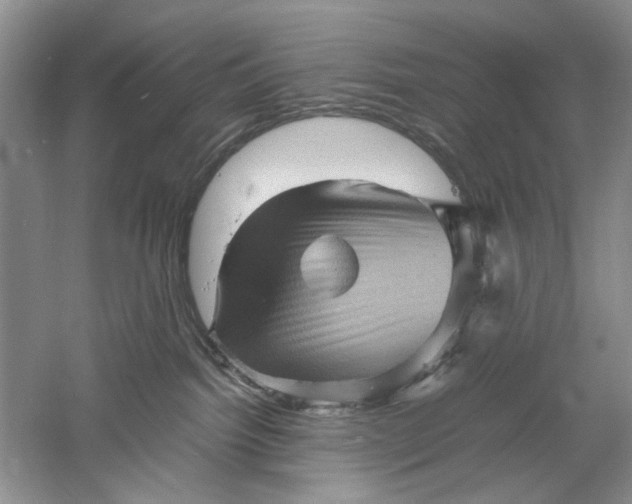 X0000061140092200512022259