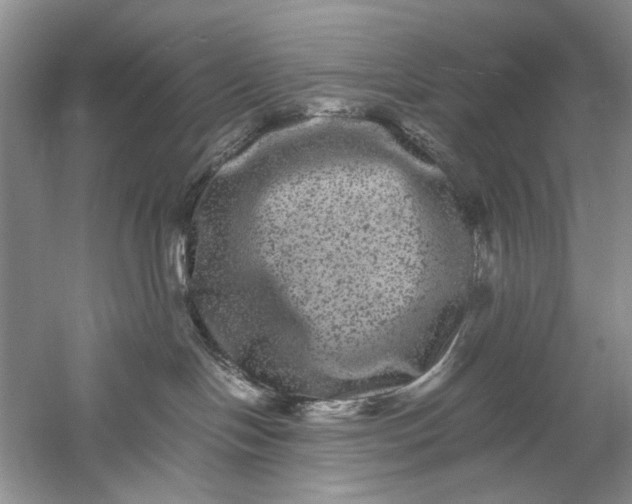 X0000061140094200512022259