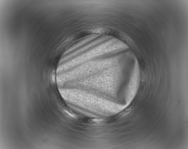 X0000061140095200512022259