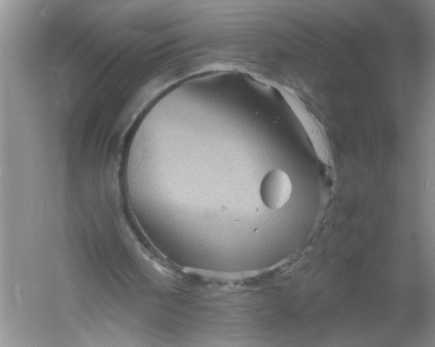 X0000061140098200512022258