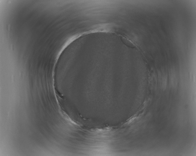 X0000061140100200512022258