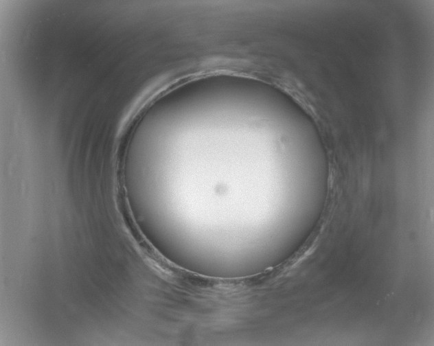 X0000061140101200512022258