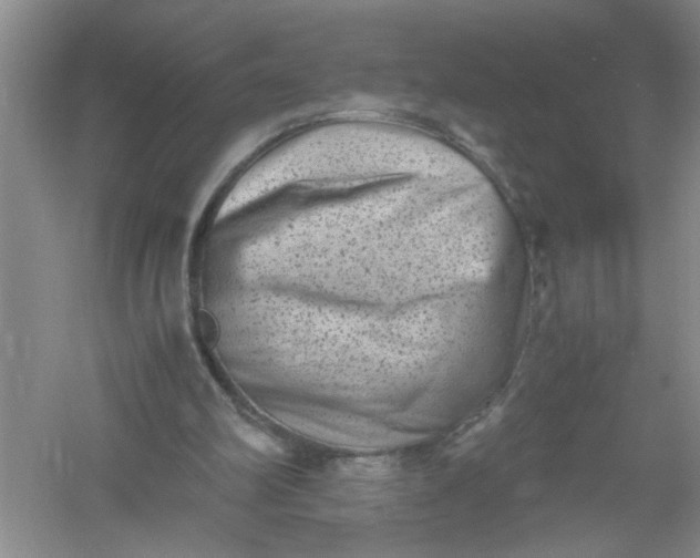 X0000061140102200512022258