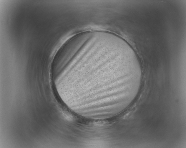 X0000061140103200512022258