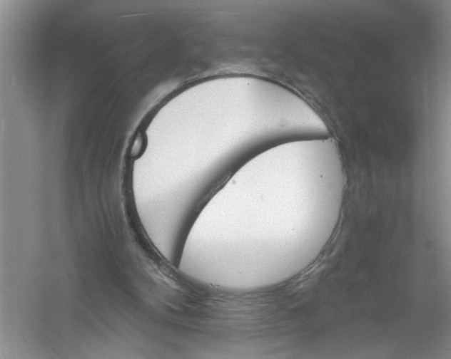 X0000061140104200512022258