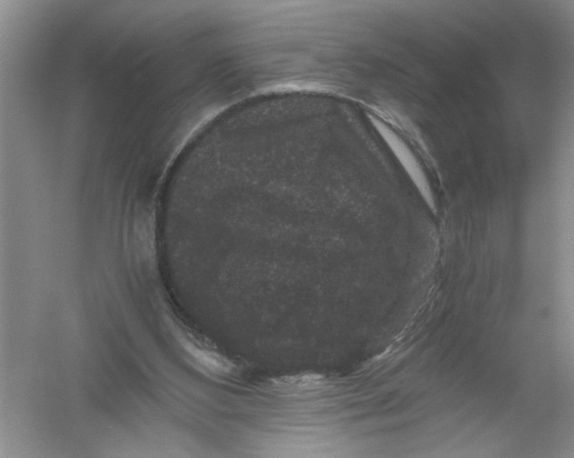 X0000061140108200512022258