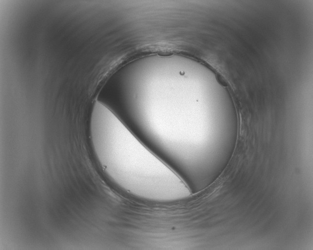 X0000061140109200512022258