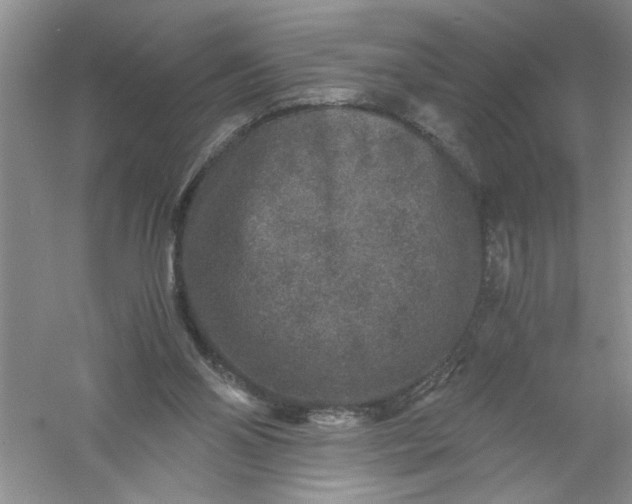 X0000061140110200512022258