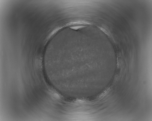 X0000061140111200512022258