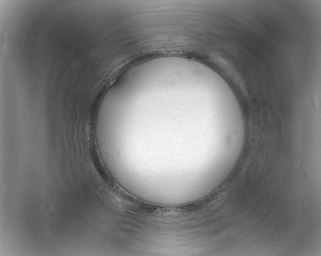 X0000061140113200512022258