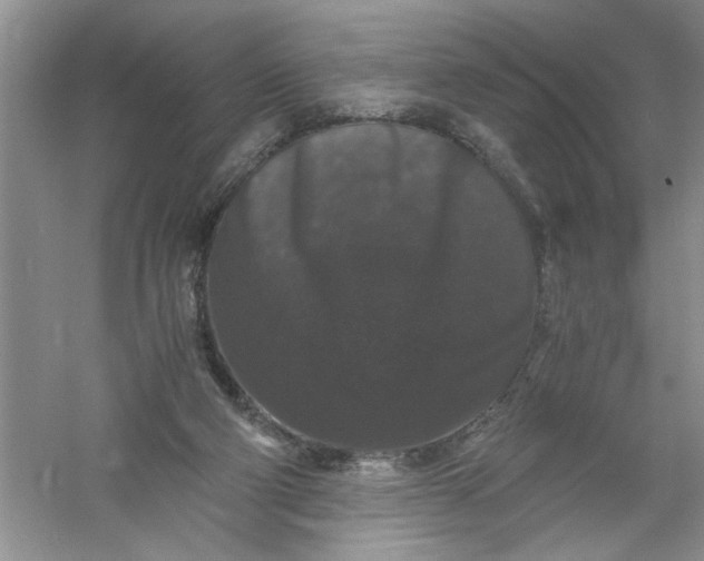 X0000061140114200512022258