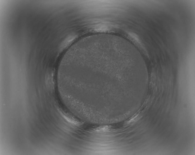 X0000061140116200512022258