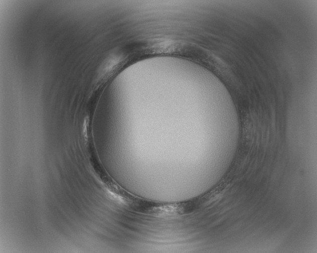 X0000061140118200512022258