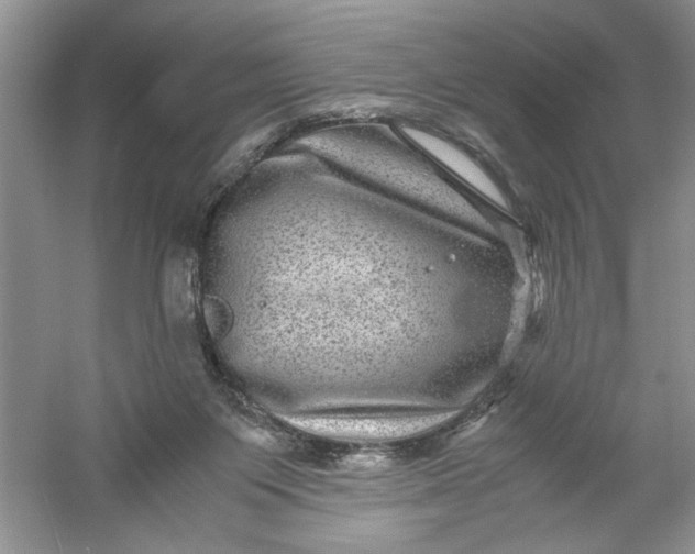 X0000061140119200512022258