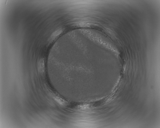 X0000061140120200512022258