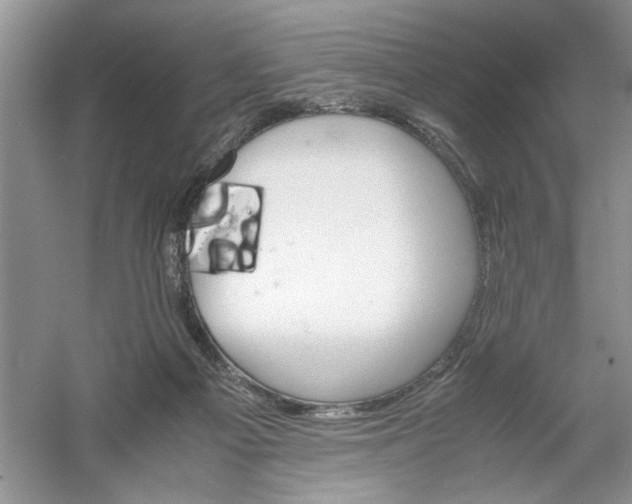 X0000061140121200512022258