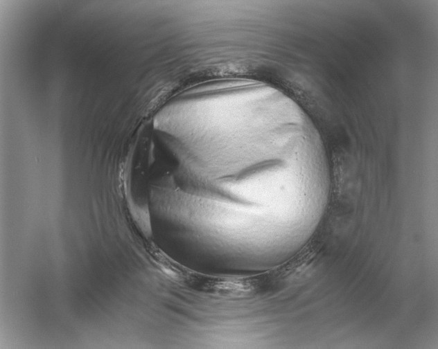 X0000061140123200512022258