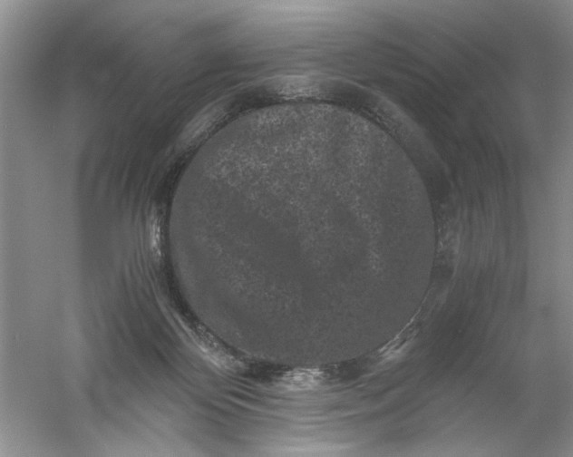 X0000061140124200512022258