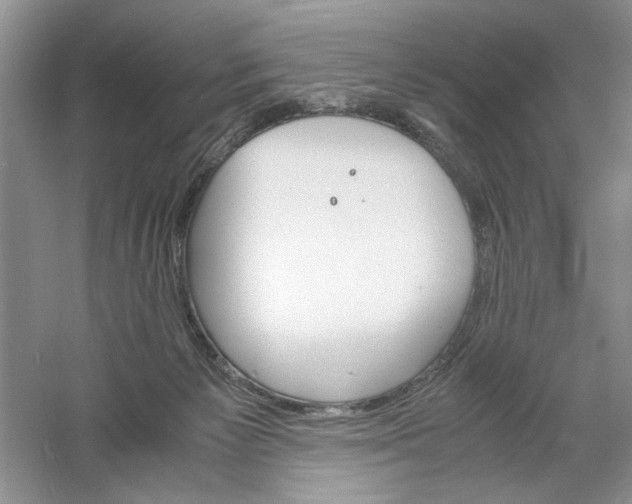 X0000061140125200512022258