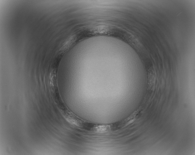 X0000061140126200512022258