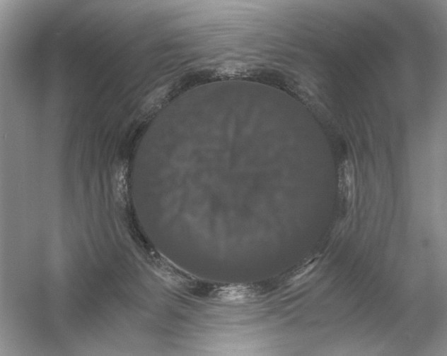 X0000061140127200512022258