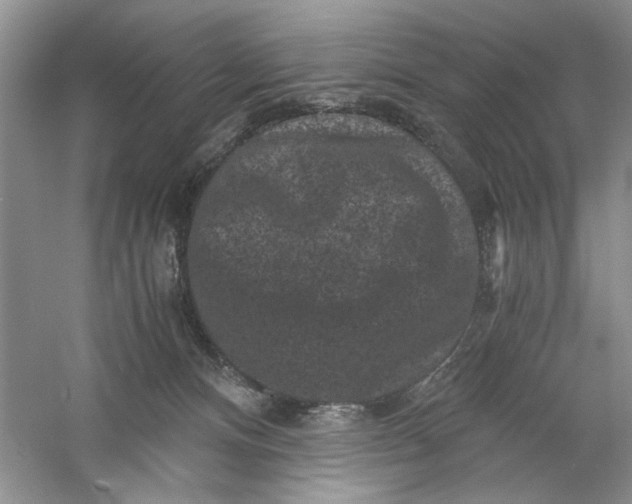 X0000061140128200512022258