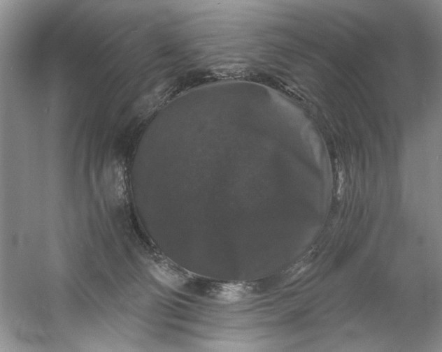 X0000061140130200512022258