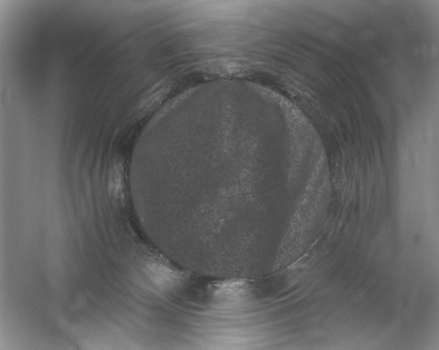 X0000061140132200512022258