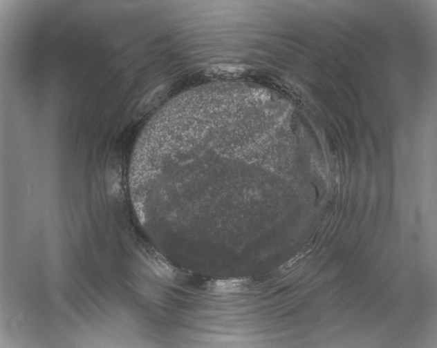 X0000061140134200512022258