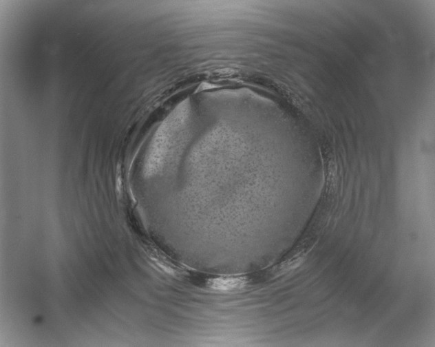 X0000061140135200512022258