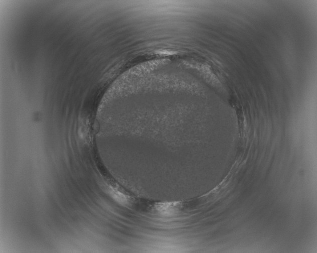 X0000061140136200512022257