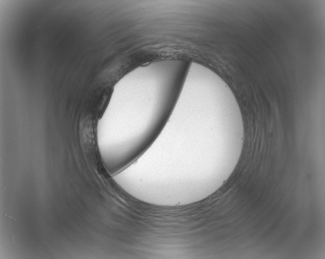 X0000061140137200512022257