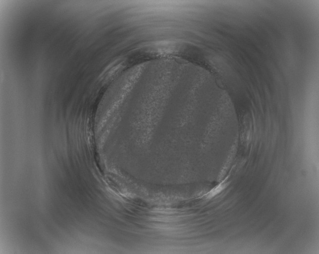 X0000061140140200512022257