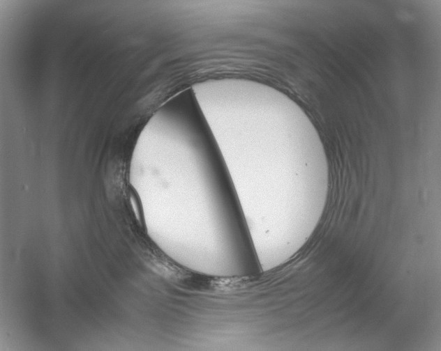 X0000061140141200512022257