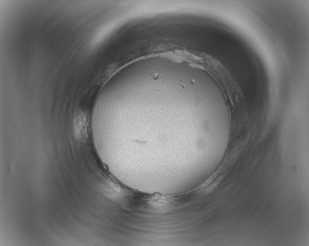 X0000061140142200512022257