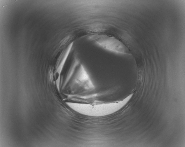 X0000061140143200512022257