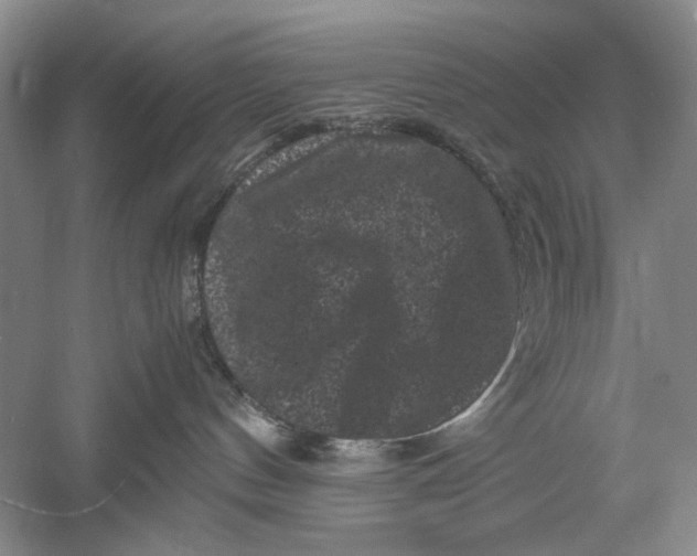 X0000061140144200512022257