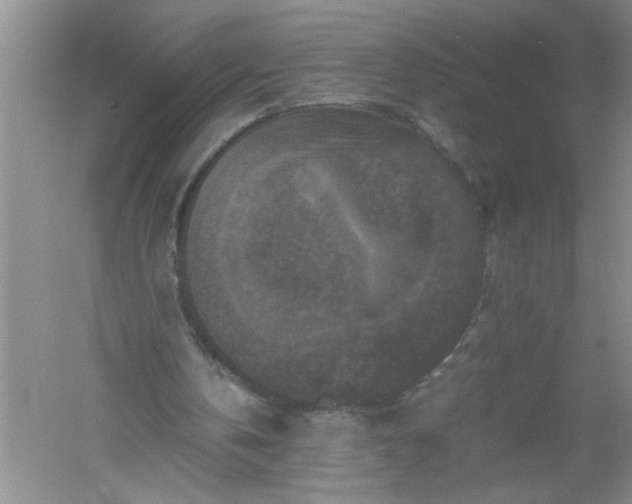 X0000061140146200512022257